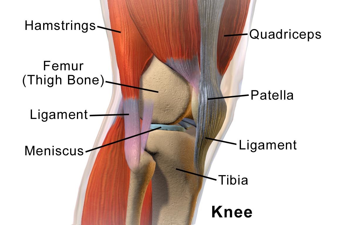 knee-replacement-procedures